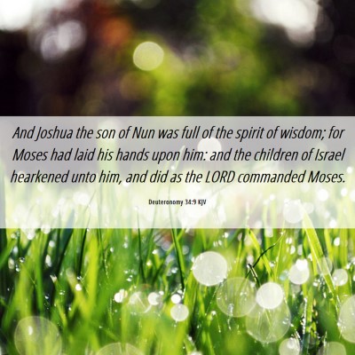 Picture 06 - Deuteronomy 34:9 KJV - And Joshua the son of Nun was full of the spirit - Bible Verse Picture
