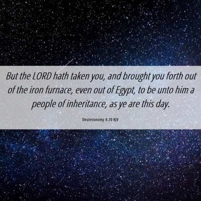 Picture 06 - Deuteronomy 4:20 KJV - But the LORD hath taken you, and brought you - Bible Verse Picture