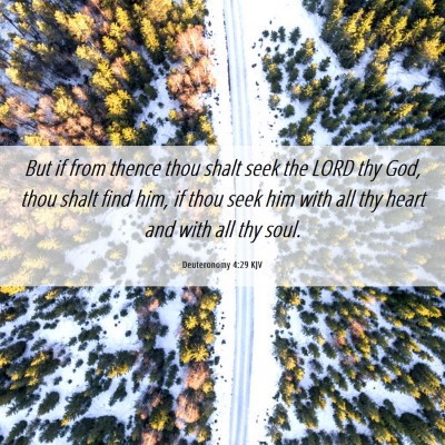 Picture 06 - Deuteronomy 4:29 KJV - But if from thence thou shalt seek the LORD thy - Bible Verse Picture