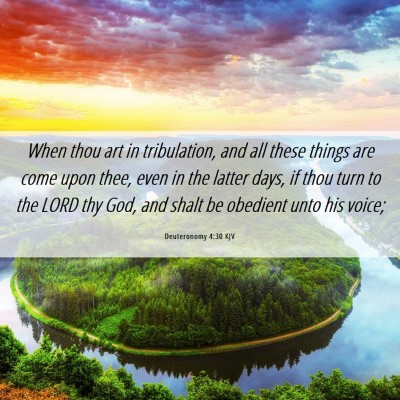 Picture 06 - Deuteronomy 4:30 KJV - When thou art in tribulation, and all these - Bible Verse Picture