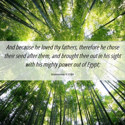Picture 06 - Deuteronomy 4:37 KJV - And because he loved thy fathers, therefore he - Bible Verse Picture
