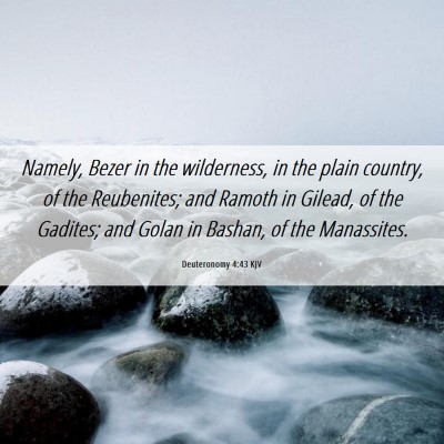 Picture 06 - Deuteronomy 4:43 KJV - Namely, Bezer in the wilderness, in the plain - Bible Verse Picture
