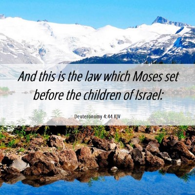 Picture 06 - Deuteronomy 4:44 KJV - And this is the law which Moses set before the - Bible Verse Picture
