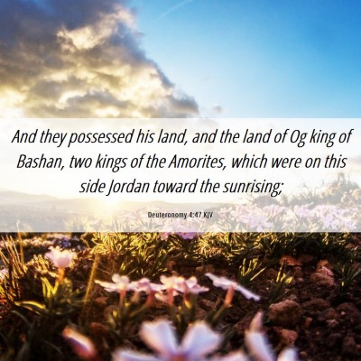 Picture 06 - Deuteronomy 4:47 KJV - And they possessed his land, and the land of Og - Bible Verse Picture