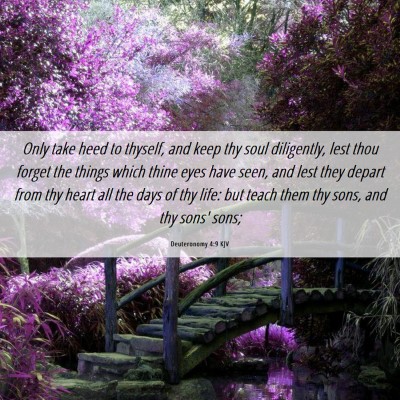 Picture 06 - Deuteronomy 4:9 KJV - Only take heed to thyself, and keep thy soul - Bible Verse Picture