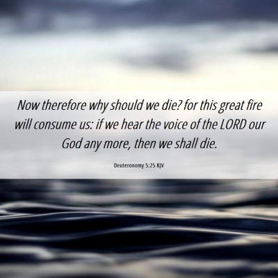 Picture 06 - Deuteronomy 5:25 KJV - Now therefore why should we die? for this great - Bible Verse Picture