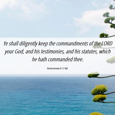 Picture 06 - Deuteronomy 6:17 KJV - Ye shall diligently keep the commandments of the - Bible Verse Picture