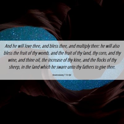 Picture 06 - Deuteronomy 7:13 KJV - And he will love thee, and bless thee, and - Bible Verse Picture