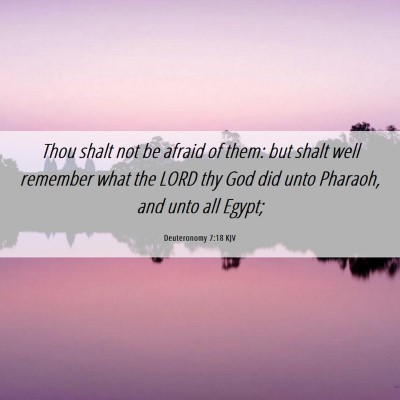 Picture 06 - Deuteronomy 7:18 KJV - Thou shalt not be afraid of them: but shalt well - Bible Verse Picture