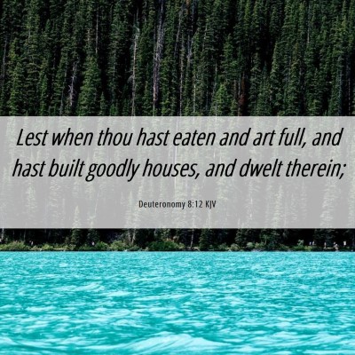 Picture 06 - Deuteronomy 8:12 KJV - Lest when thou hast eaten and art full, and hast - Bible Verse Picture