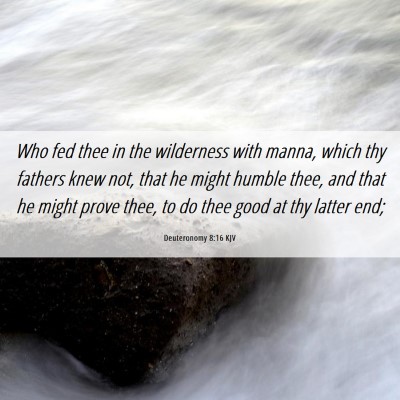 Picture 06 - Deuteronomy 8:16 KJV - Who fed thee in the wilderness with manna, which - Bible Verse Picture
