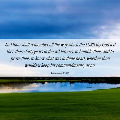 Picture 06 - Deuteronomy 8:2 KJV - And thou shalt remember all the way which the - Bible Verse Picture