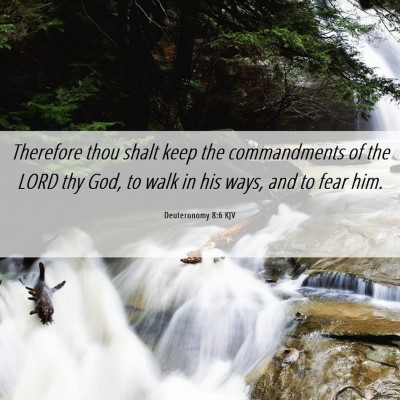 Picture 06 - Deuteronomy 8:6 KJV - Therefore thou shalt keep the commandments of the - Bible Verse Picture