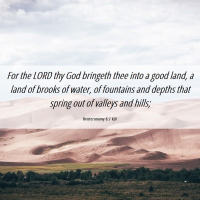 Picture 06 - Deuteronomy 8:7 KJV - For the LORD thy God bringeth thee into a good - Bible Verse Picture