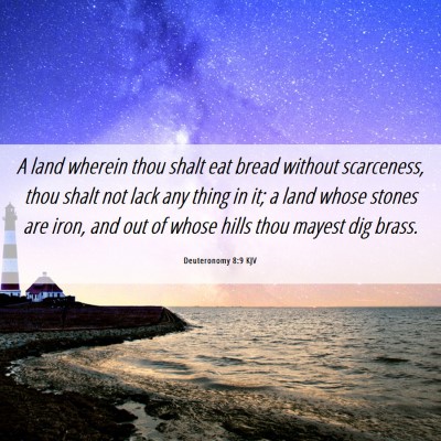Picture 06 - Deuteronomy 8:9 KJV - A land wherein thou shalt eat bread without - Bible Verse Picture