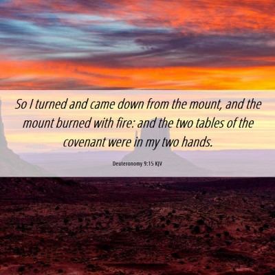 Picture 06 - Deuteronomy 9:15 KJV - So I turned and came down from the mount, and the - Bible Verse Picture