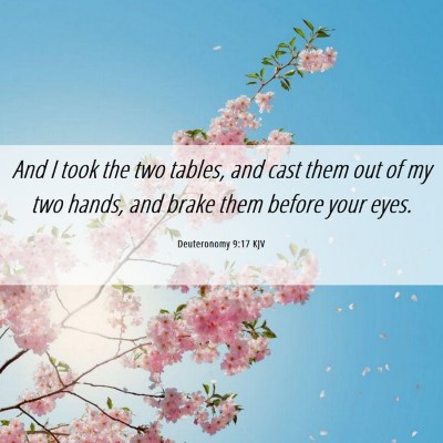 Picture 06 - Deuteronomy 9:17 KJV - And I took the two tables, and cast them out of - Bible Verse Picture