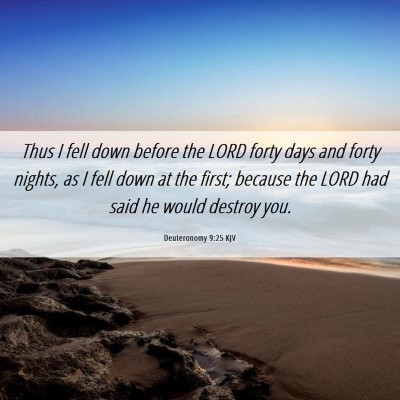 Picture 06 - Deuteronomy 9:25 KJV - Thus I fell down before the LORD forty days and - Bible Verse Picture