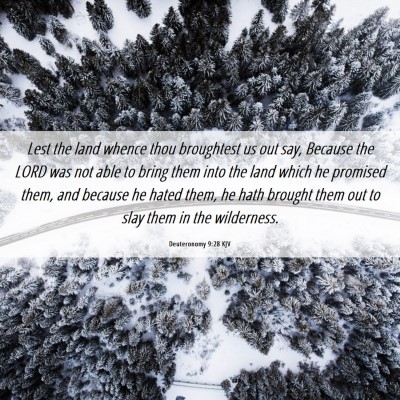 Picture 06 - Deuteronomy 9:28 KJV - Lest the land whence thou broughtest us out say, - Bible Verse Picture