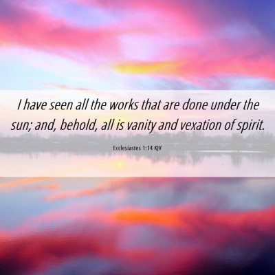Picture 06 - Ecclesiastes 1:14 KJV - I have seen all the works that are done under the - Bible Verse Picture