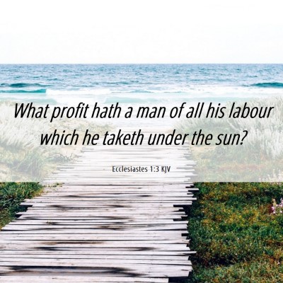 Picture 06 - Ecclesiastes 1:3 KJV - What profit hath a man of all his labour which he - Bible Verse Picture