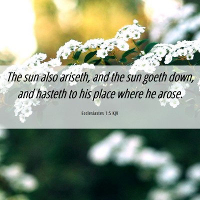 Picture 06 - Ecclesiastes 1:5 KJV - The sun also ariseth, and the sun goeth down, and - Bible Verse Picture