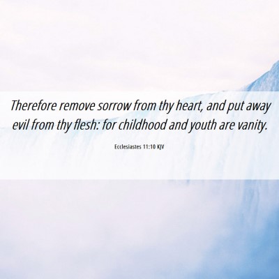 Picture 06 - Ecclesiastes 11:10 KJV - Therefore remove sorrow from thy heart, and put - Bible Verse Picture