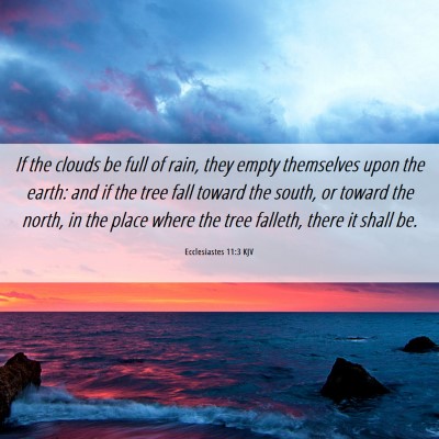 Picture 06 - Ecclesiastes 11:3 KJV - If the clouds be full of rain, they empty - Bible Verse Picture