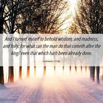 Picture 06 - Ecclesiastes 2:12 KJV - And I turned myself to behold wisdom, and - Bible Verse Picture