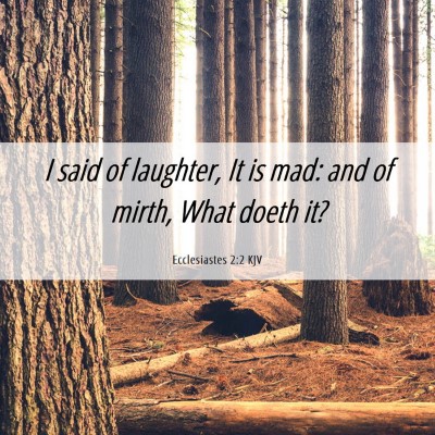 Picture 06 - Ecclesiastes 2:2 KJV - I said of laughter, It is mad: and of mirth, What - Bible Verse Picture
