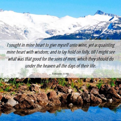 Picture 06 - Ecclesiastes 2:3 KJV - I sought in mine heart to give myself unto wine, - Bible Verse Picture