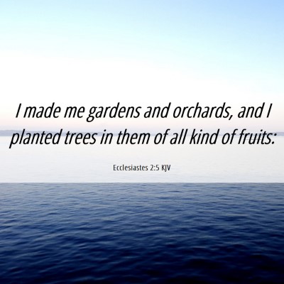 Picture 06 - Ecclesiastes 2:5 KJV - I made me gardens and orchards, and I planted - Bible Verse Picture