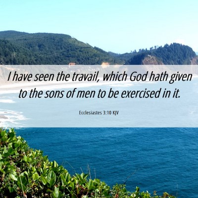 Picture 06 - Ecclesiastes 3:10 KJV - I have seen the travail, which God hath given to - Bible Verse Picture