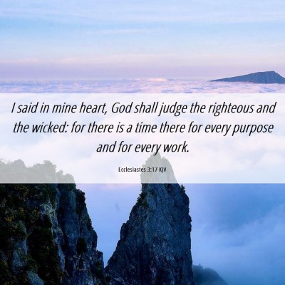 Picture 06 - Ecclesiastes 3:17 KJV - I said in mine heart, God shall judge the - Bible Verse Picture