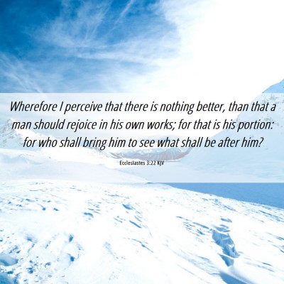 Picture 06 - Ecclesiastes 3:22 KJV - Wherefore I perceive that there is nothing - Bible Verse Picture