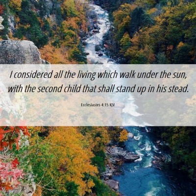 Picture 06 - Ecclesiastes 4:15 KJV - I considered all the living which walk under the - Bible Verse Picture