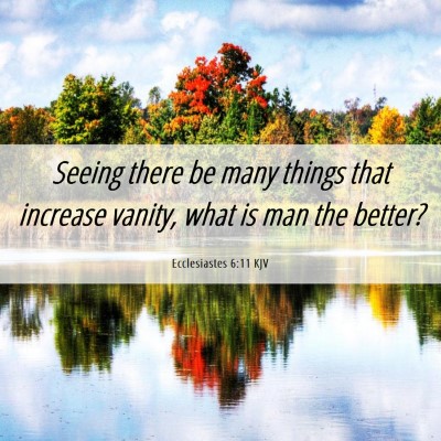 Picture 06 - Ecclesiastes 6:11 KJV - Seeing there be many things that increase vanity, - Bible Verse Picture