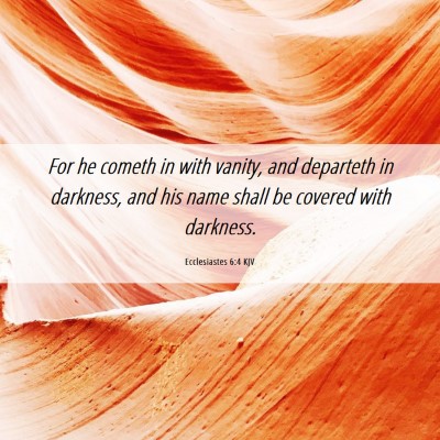 Picture 06 - Ecclesiastes 6:4 KJV - For he cometh in with vanity, and departeth in - Bible Verse Picture