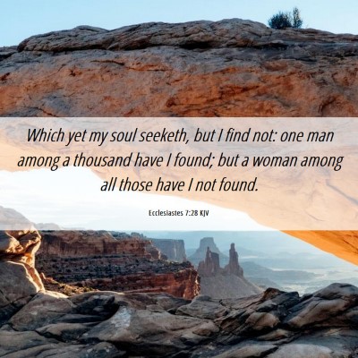 Picture 06 - Ecclesiastes 7:28 KJV - Which yet my soul seeketh, but I find not: one - Bible Verse Picture