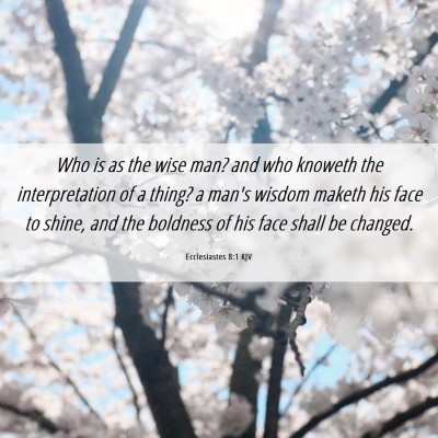 Picture 06 - Ecclesiastes 8:1 KJV - Who is as the wise man? and who knoweth the - Bible Verse Picture