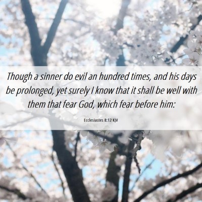 Picture 06 - Ecclesiastes 8:12 KJV - Though a sinner do evil an hundred times, and his - Bible Verse Picture