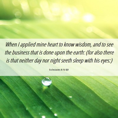 Picture 06 - Ecclesiastes 8:16 KJV - When I applied mine heart to know wisdom, and to - Bible Verse Picture