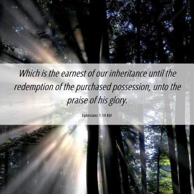 Picture 06 - Ephesians 1:14 KJV - Which is the earnest of our inheritance until the - Bible Verse Picture