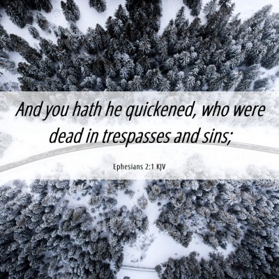 Picture 06 - Ephesians 2:1 KJV - And you hath he quickened, who were dead in - Bible Verse Picture
