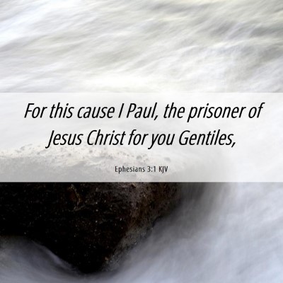 Picture 06 - Ephesians 3:1 KJV - For this cause I Paul, the prisoner of Jesus - Bible Verse Picture