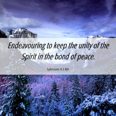 Picture 06 - Ephesians 4:3 KJV - Endeavouring to keep the unity of the Spirit in - Bible Verse Picture