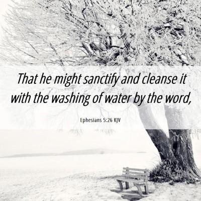 Picture 06 - Ephesians 5:26 KJV - That he might sanctify and cleanse it with the - Bible Verse Picture
