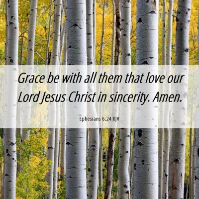 Picture 06 - Ephesians 6:24 KJV - Grace be with all them that love our Lord Jesus - Bible Verse Picture