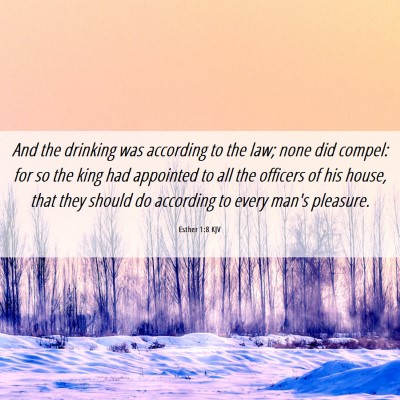 Picture 06 - Esther 1:8 KJV - And the drinking was according to the law; none - Bible Verse Picture
