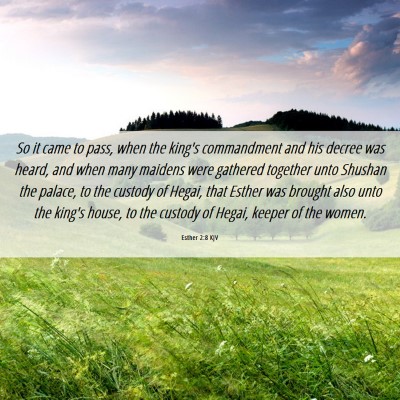 Picture 06 - Esther 2:8 KJV - So it came to pass, when the king's commandment - Bible Verse Picture